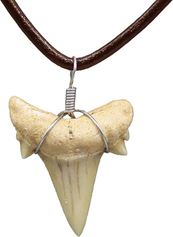 FROG SAC Natural Shark Tooth Necklace for Boys, Genuine Fossil Shark Teeth Jewelry for Men, Cool Beach Necklaces for Teen Girls, Beachy Surfer Necklace for Women