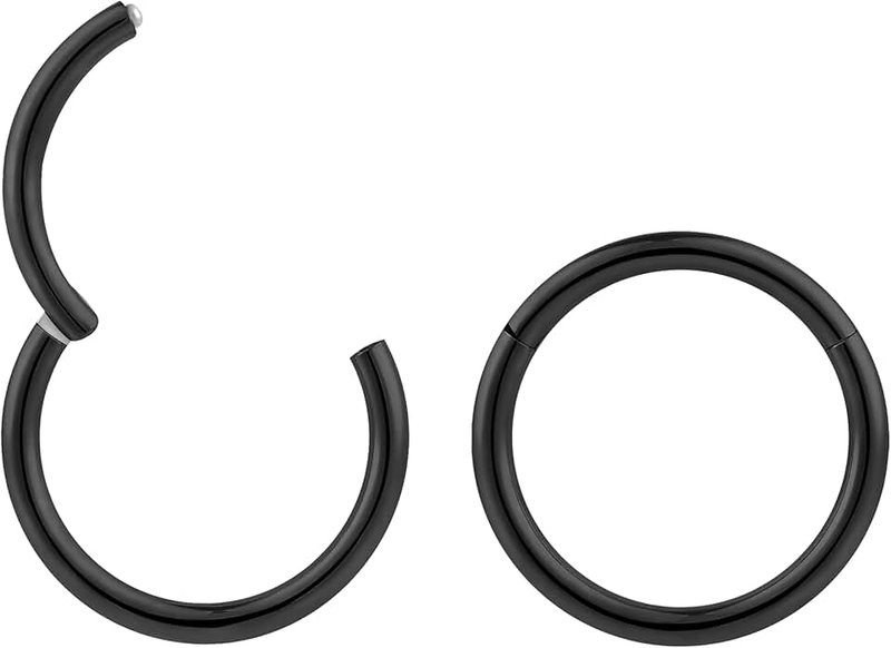 365 Sleepers 2PCS 16G Surgical Steel 6mm - 16mm Hinged Hoop Segment Septum Cartilage Helix Tragus Nose Ring Unisex Sleeper Earrings