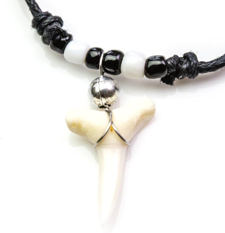 Shark Tooth Necklace Black & White Magpies FC Oceanicshark 125