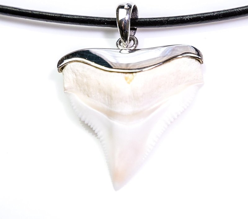 Bull Shark Tooth Hand Set In 925 Sterling Silver Necklace Predator Attack Oceanicshark 26-31 Mm S10