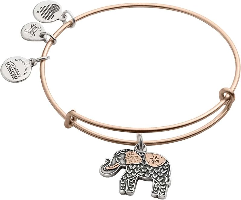 Alex and Ani Womens Elephant III Bangle Two-Tone