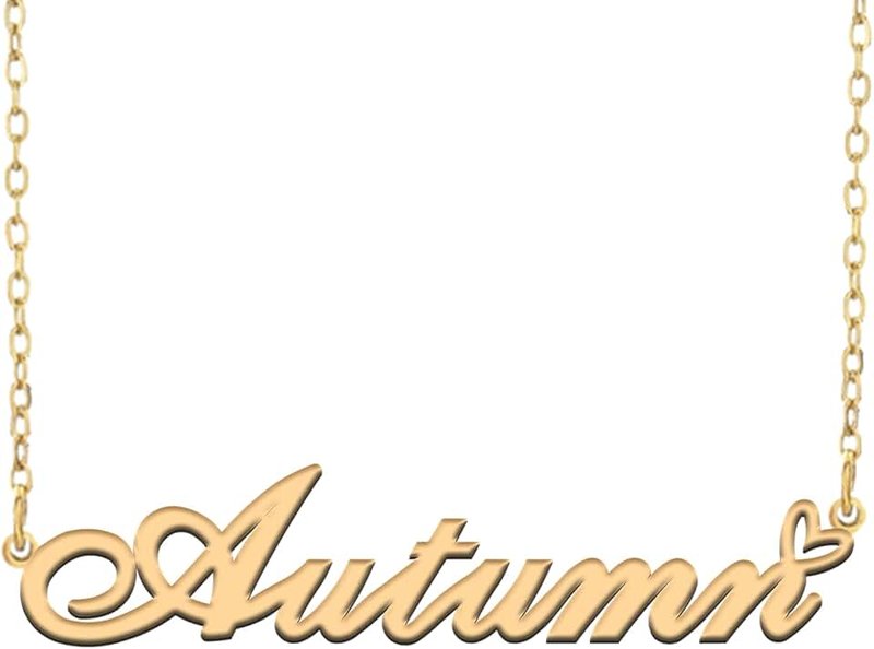 RONKAHSHOW Custom Name Necklace Customized Personalized Pendant Name Necklace with Heart Name Necklace for Women Best Gift for Girl Birthday Mother’Day Christmas Wedding