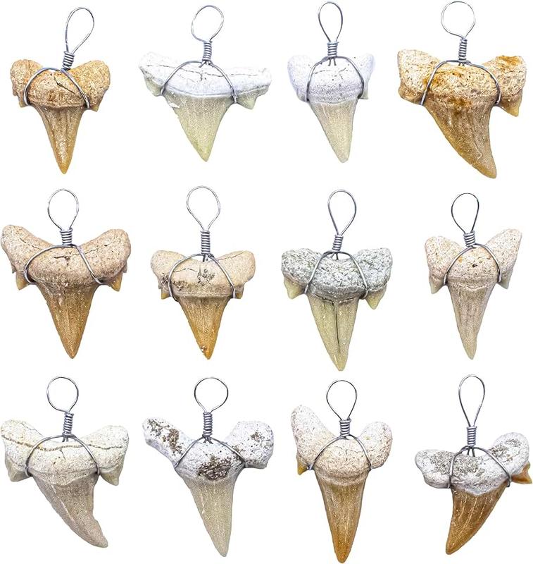 Fun-Weevz Real Fossil Shark Teeth for Jewelry Making, Assorted Sharks Tooth Pendant Jewelry Accessories for Necklace, Small Bulk Lot Assorted Size and Color Wire Wrapped Fossils