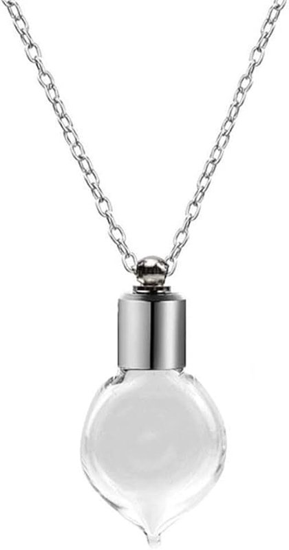 Ailiessy Blood Vial Necklace Stainless Steel Glass Heart Vial Perfume Bottle Cremation Urn Pendant Necklace for Women Keepsake Memorial Jewelry