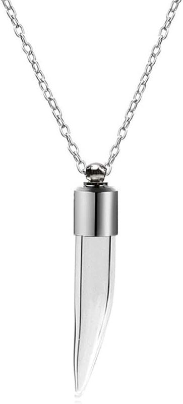 Ailiessy Blood Vial Necklace Stainless Steel Glass Heart Vial Perfume Bottle Cremation Urn Pendant Necklace for Women Keepsake Memorial Jewelry
