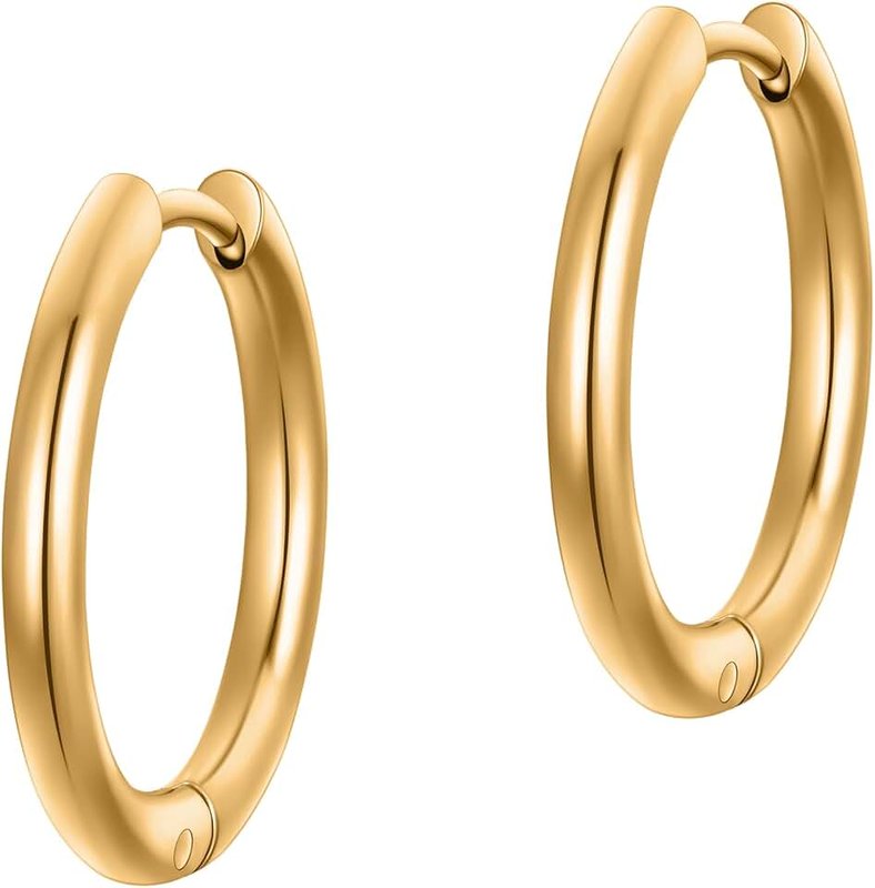 day berlin day.berlin 18k Gold Plated 17mm Diameter 2mm Thick 316L Stainless Steel Small Hoop Earrings with Hinged Nickel Free Waterproof