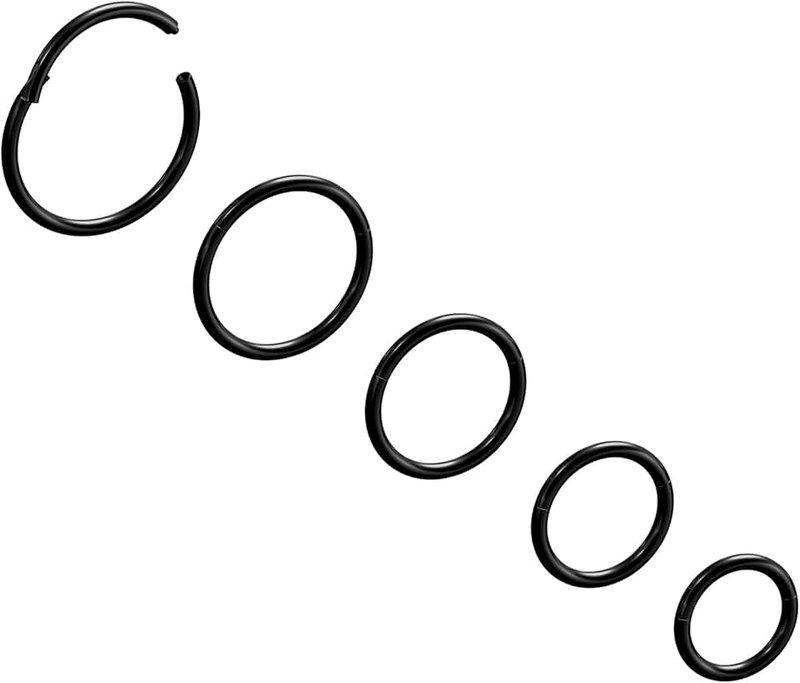 NewkeepsR 5pcs-20G/18G/16G Steel Nose Ring Hoops, Hinged Clicker Segment Sleeper Earrings Piercing