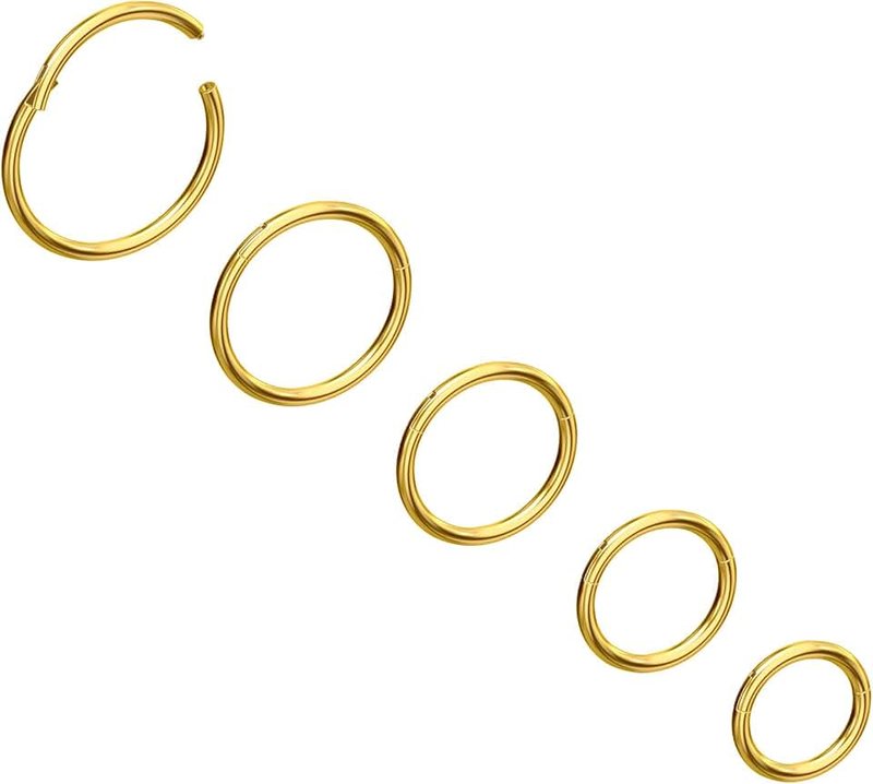 NewkeepsR 5pcs-20G/18G/16G Steel Nose Ring Hoops, Hinged Clicker Segment Sleeper Earrings Piercing
