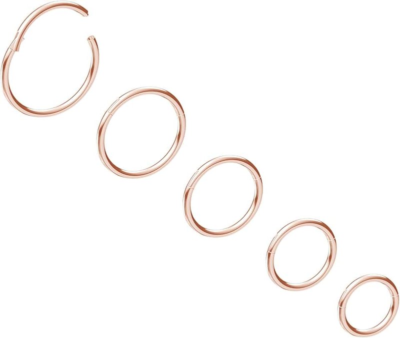 NewkeepsR 5pcs-20G/18G/16G Steel Nose Ring Hoops, Hinged Clicker Segment Sleeper Earrings Piercing
