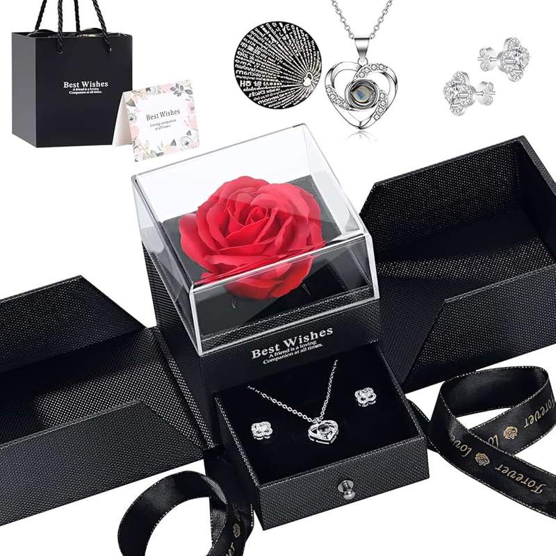 Beitier Preserved Red Real Rose with I Love You Necklace in 100 Languages, Eternal Flowers Rose Gifts for Mom Wife Girlfriend on Mothers Day Valentines Day Anniversary Christmas Birthday Gifts for Women