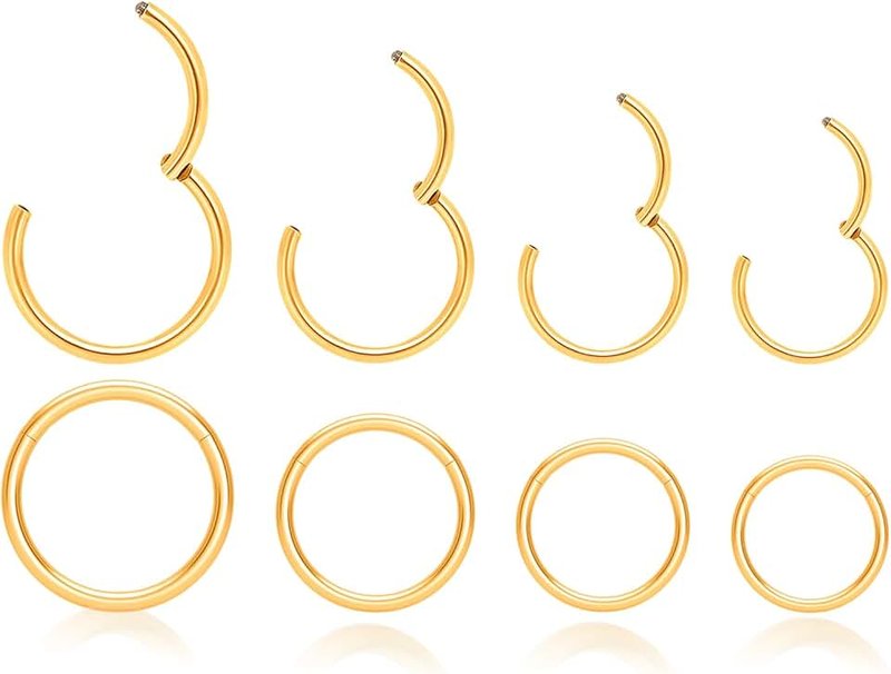 DGhera 8Pcs 316L Surgical Steel Hinged Clicker Segment Nose Ring & Ear Piercing Jewelry [16G/18G/20G]–Hoop Helix Cartilage Daith Tragus Sleeper Earrings For Women Men