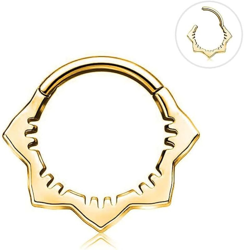 ShineRose Cartilage Daith Earrings For Women Small 14K Gold Plated Hoop Hypoallergenic Helix Piercing Huggie Surgical Steel Diamond Implant Cubic Zirconia Jewelry