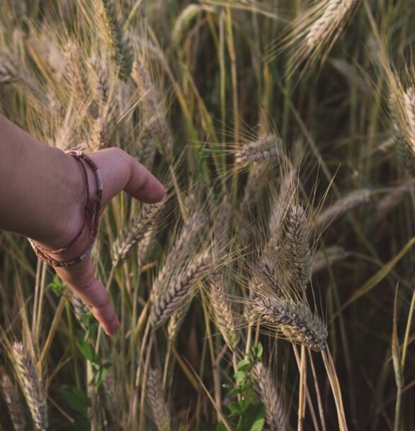 Tips For Making DIY Knot Bracelet for Your Friend