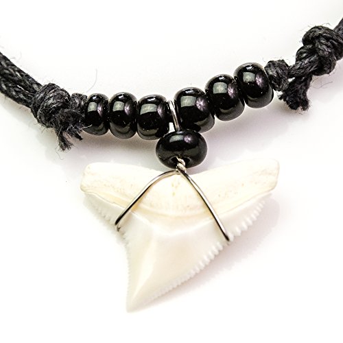 Real Shark Tooth Necklace Mako – oceanicshark